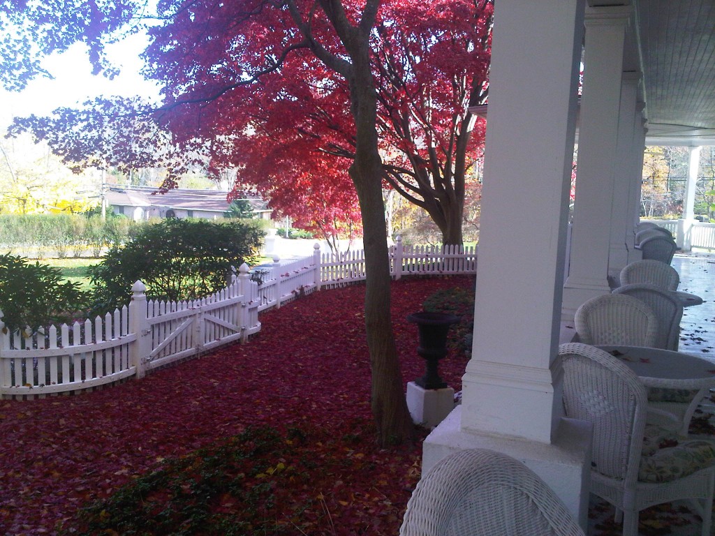 From the porch